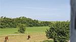 garden - Ferienhaus für 32 Personen (1400 m²) in Allingåbro - Top-Hundeurlaub