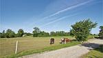 garden - Ferienhaus für 32 Personen (1400 m²) in Allingåbro - Top-Hundeurlaub