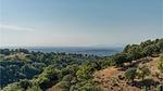 view-from-room - Ferienwohnung für 4 Personen (40 m²) in Scansano (GR) - Top-Hundeurlaub