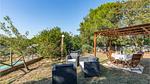 outside - Ferienwohnung für 4 Personen (40 m²) in Scansano (GR) - Top-Hundeurlaub