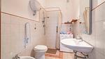 bathroom - Ferienwohnung für 4 Personen (40 m²) in Scansano (GR) - Top-Hundeurlaub