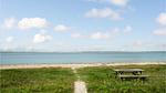 beach - Ferienhaus für 6 Personen (50 m²) in Knebel - Top-Hundeurlaub