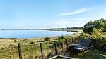 view-from-room - Ferienhaus für 2 Personen (60 m²) in Martofte - Top-Hundeurlaub