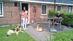 outside - Ferienwohnung für 4 Personen (60 m²) in Paesens - Top-Hundeurlaub