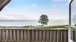 view-from-room - Ferienhaus für 4 Personen (80 m²) in Børkop - Top-Hundeurlaub