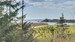 view-from-room - Ferienhaus für 7 Personen (105 m²) in Roslev - Top-Hundeurlaub