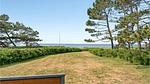 view-from-room - Ferienhaus für 4 Personen (74 m²) in Slagelse - Top-Hundeurlaub