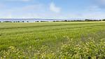 view-from-room - Ferienhaus für 12 Personen (194 m²) in Vesløs - Top-Hundeurlaub