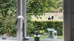 kitchen - Ferienhaus für 4 Personen (100 m²) in Aakirkeby - Top-Hundeurlaub