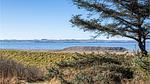 view-from-room - Ferienhaus für 6 Personen (83 m²) in Sunddraget - Top-Hundeurlaub