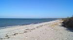 beach - Ferienhaus für 14 Personen (194 m²) in Bogense - Top-Hundeurlaub