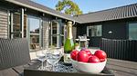 terrace - Ferienhaus für 20 Personen (270 m²) in Frederiksværk - Top-Hundeurlaub