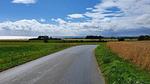 area - Ferienhaus für 24 Personen (314 m²) in Stege - Top-Hundeurlaub