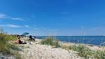 beach - Ferienhaus für 14 Personen (180 m²) in Glesborg - Top-Hundeurlaub