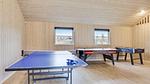 activities - Ferienhaus für 24 Personen (378 m²) in Idestrup - Top-Hundeurlaub