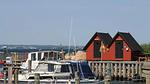 area - Ferienhaus für 18 Personen (242 m²) in Tranekær - Top-Hundeurlaub