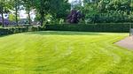 outside - Ferienhaus für 6 Personen (95 m²) in Den Ham - Top-Hundeurlaub