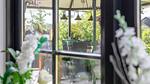 view-from-room - Ferienhaus für 6 Personen (95 m²) in Den Ham - Top-Hundeurlaub
