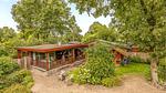 house - Ferienhaus für 2 Personen (100 m²) in Erm - Top-Hundeurlaub