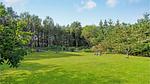 outside - Ferienhaus für 6 Personen (94 m²) in Fjerritslev - Top-Hundeurlaub