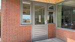 outside - Ferienhaus für 6 Personen (65 m²) in Stavenisse - Top-Hundeurlaub