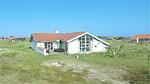 outside - Ferienhaus für 8 Personen (151 m²) in Thisted - Top-Hundeurlaub