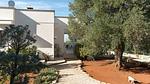 exterior - Ferienhaus für 6 Personen (120 m²) in Carovigno - Top-Hundeurlaub