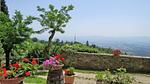 exterior - Ferienhaus für 5 Personen (80 m²) in Castelfranco Di Sopra - Top-Hundeurlaub