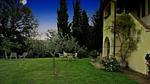 house - Ferienwohnung für 4 Personen (80 m²) in Castiglione D'Orcia - Top-Hundeurlaub