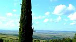 exterior - Ferienwohnung für 4 Personen (80 m²) in Castiglione D'Orcia - Top-Hundeurlaub