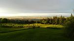 house - Ferienwohnung für 4 Personen (80 m²) in Castiglione D'Orcia - Top-Hundeurlaub