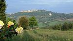 house - Ferienwohnung für 4 Personen (80 m²) in Castiglione D'Orcia - Top-Hundeurlaub