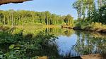 house - Ferienhaus für 4 Personen (180 m²) in Crux-la-Ville - Top-Hundeurlaub