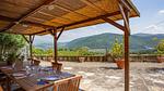 exterior - Ferienhaus für 12 Personen (240 m²) in Florenz - Top-Hundeurlaub