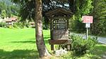 exterior - Ferienwohnung für 4 Personen (50 m²) in Ramsau am Dachstein - Top-Hundeurlaub