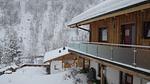 exterior - Ferienwohnung für 4 Personen (50 m²) in Ramsau am Dachstein - Top-Hundeurlaub