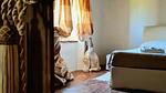 house - Ferienhaus für 4 Personen (70 m²) in San Leo - Top-Hundeurlaub