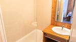 BathRoom - Ferienwohnung für 5 Personen (33 m²) in Bois Méan - Top-Hundeurlaub