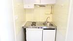 Kitchen - Ferienwohnung für 3 Personen (19 m²) in Aix-les-Bains - Top-Hundeurlaub