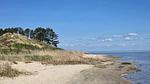 WaterView - Ferienhaus für 5 Personen (53 m²) in Rømø - Top-Hundeurlaub