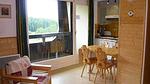 ExteriorSummer - Ferienwohnung für 7 Personen (34 m²) in Le Balcon de Villard - Top-Hundeurlaub