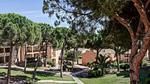 Untagged - Ferienwohnung für 5 Personen (35 m²) in Saint-Raphaël - Top-Hundeurlaub