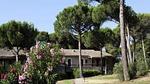 Untagged - Ferienwohnung für 5 Personen (35 m²) in Saint-Raphaël - Top-Hundeurlaub