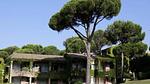 Untagged - Ferienwohnung für 5 Personen (35 m²) in Saint-Raphaël - Top-Hundeurlaub