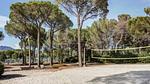 Untagged - Ferienwohnung für 5 Personen (35 m²) in Saint-Raphaël - Top-Hundeurlaub