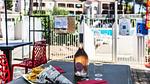 Untagged - Ferienwohnung für 5 Personen (35 m²) in Saint-Raphaël - Top-Hundeurlaub