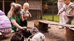 ParkFacilities - Bungalow für 4 Personen (50 m²) in Putten - Top-Hundeurlaub