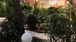 ExteriorSummer - Ferienwohnung für 5 Personen (20 m²) in Hyères - Top-Hundeurlaub