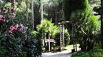 ExteriorSummer - Ferienwohnung für 5 Personen (20 m²) in Hyères - Top-Hundeurlaub
