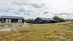 Outdoor - Ferienhaus für 5 Personen (70 m²) in Fanø - Top-Hundeurlaub